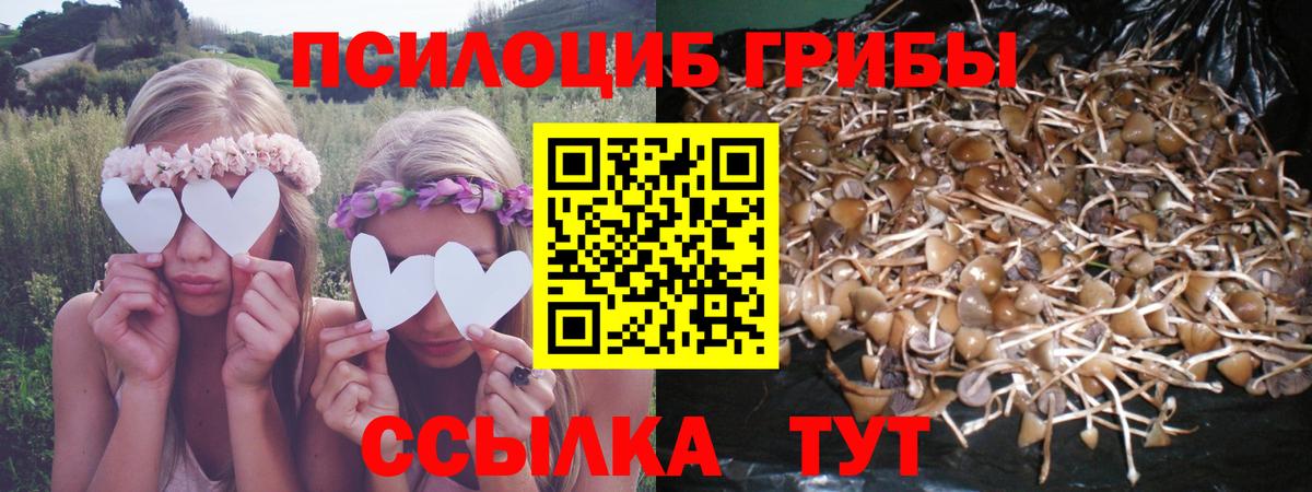 Галлюциногенные грибы ЛСД  Галлюциногенные грибы GOLDEN TEACHER  Красногорск  Вход с VPN 